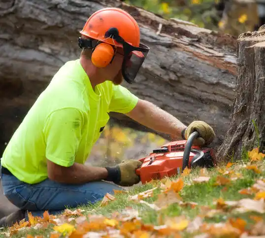 tree services Lake Success